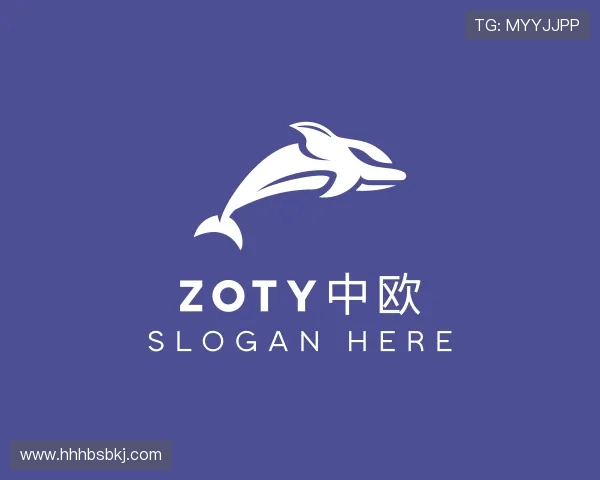 认识zoty中欧